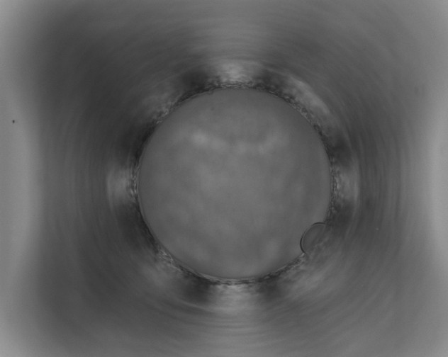 X0000111830419200909031517