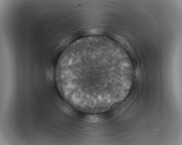 X0000111830423200909031517