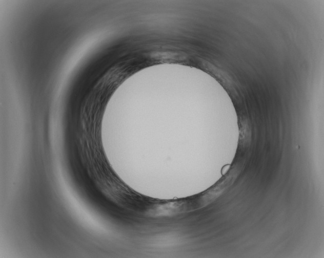 X0000111830430200909031517