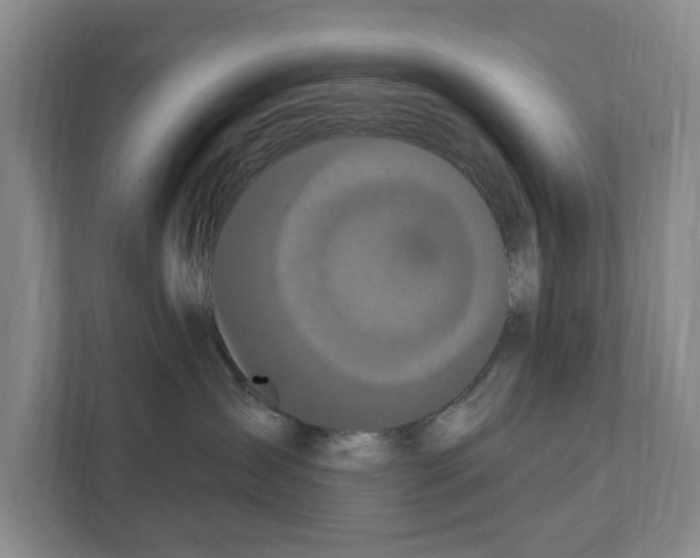 X0000111830431200909031517