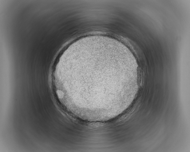X0000111830435200909031516
