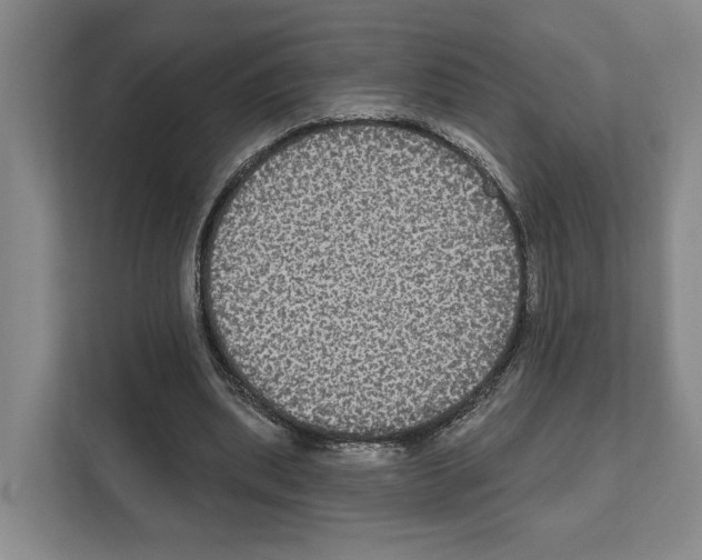 X0000111830439200909031516