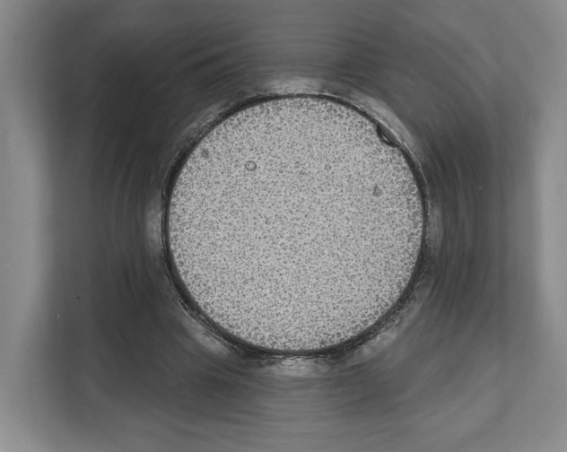 X0000111830441200909031516