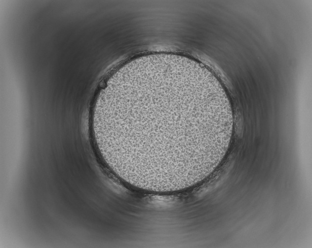 X0000111830442200909031516