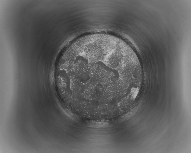 X0000111830443200909031516