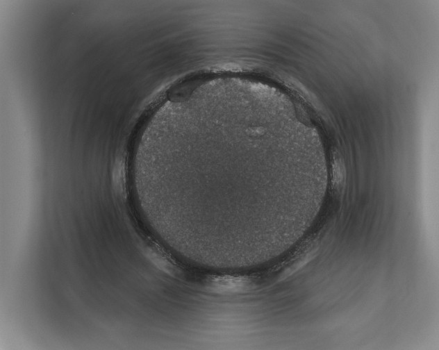 X0000111830444200909031516