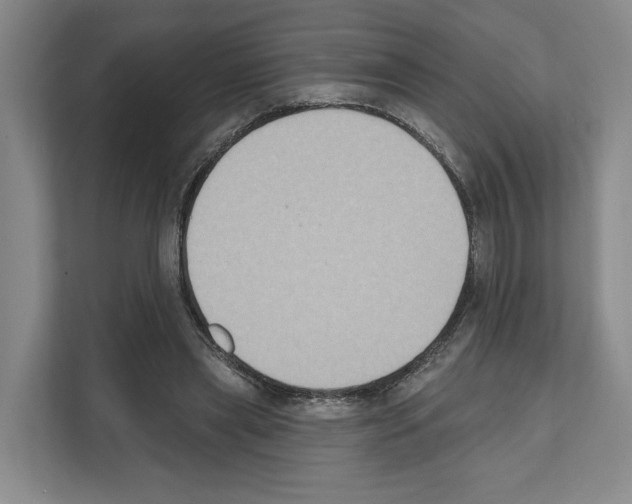 X0000111830445200909031517