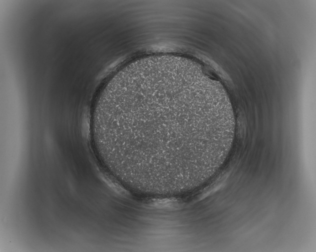 X0000111830446200909031517