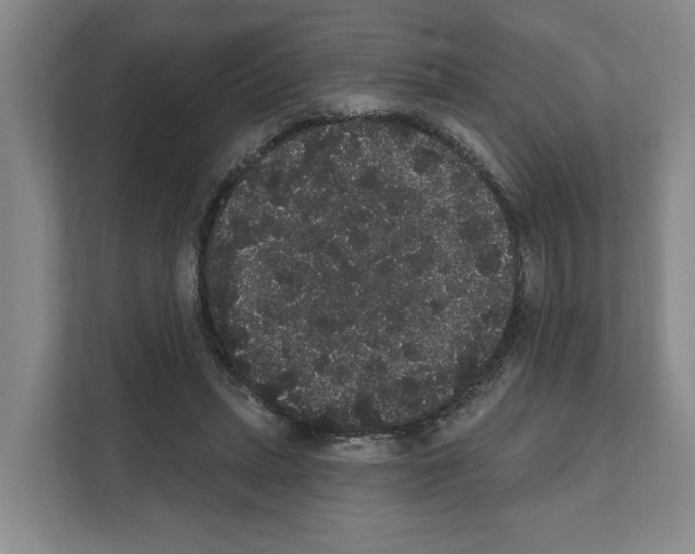 X0000111830447200909031517