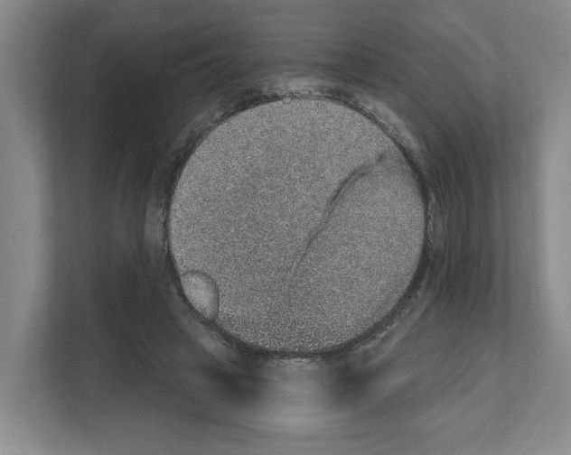 X0000111830449200909031517