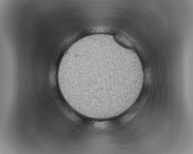 X0000111830450200909031517