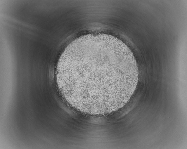 X0000111830454200909031517