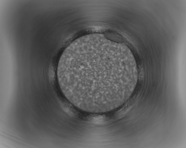 X0000111830456200909031517