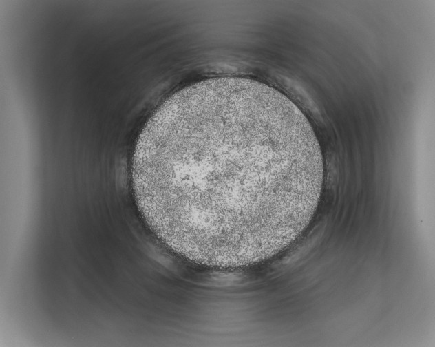 X0000111830457200909031517