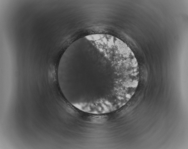 X0000111830465200909031517