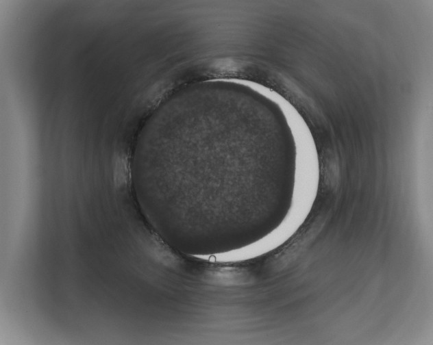 X0000111830467200909031517