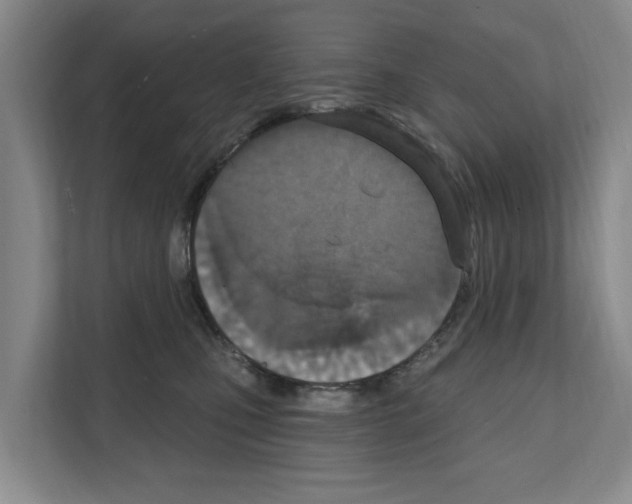 X0000111830471200909031517