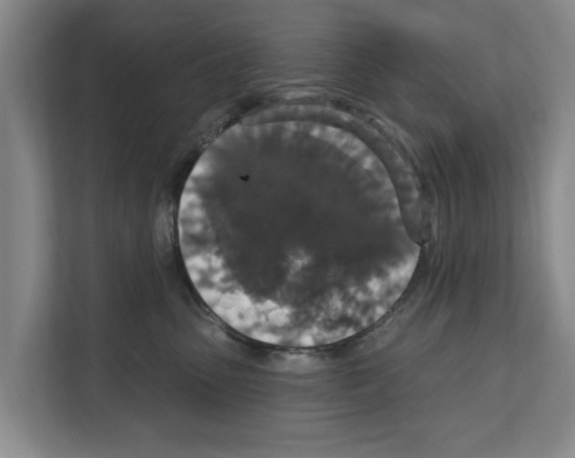 X0000111830475200909031517