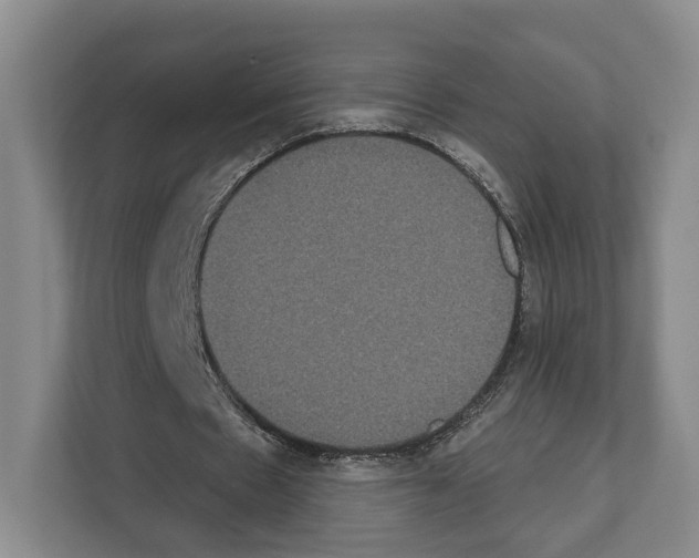X0000111830481200909031516