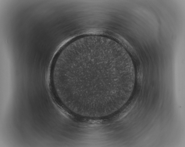 X0000111830484200909031516