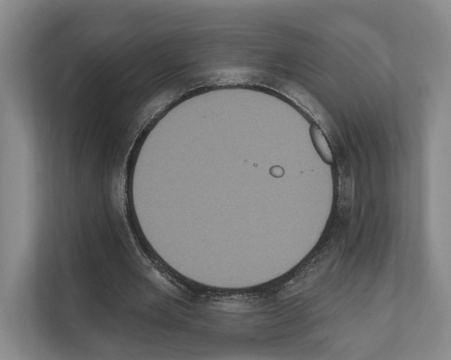 X0000111830485200909031516