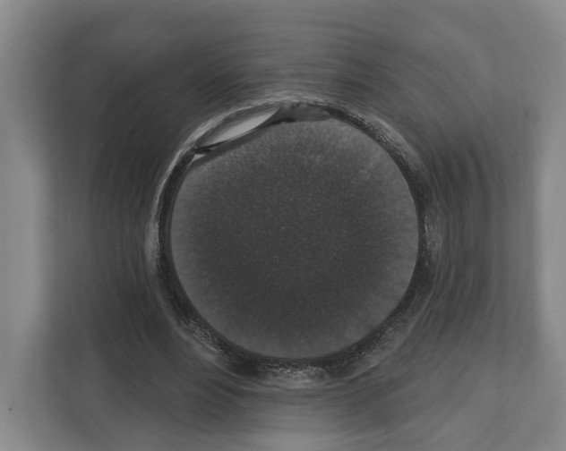 X0000111830488200909031516