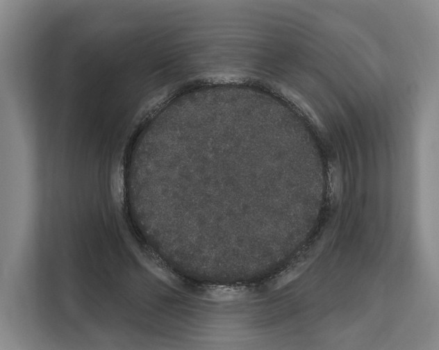X0000111830494200909031516