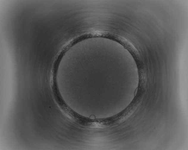 X0000111830496200909031516