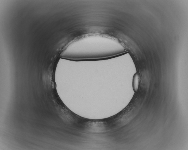 X0000111830501200909031516