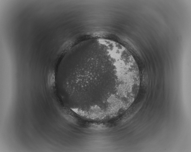 X0000111830502200909031516