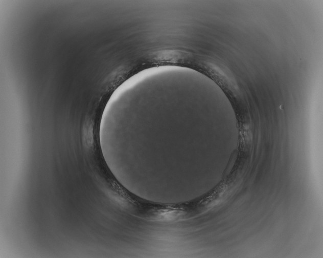 X0000111830504200909031516