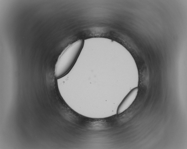 X0000111830505200909031516