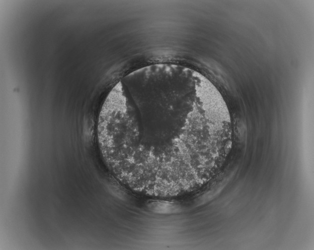 X0000111830507200909031516