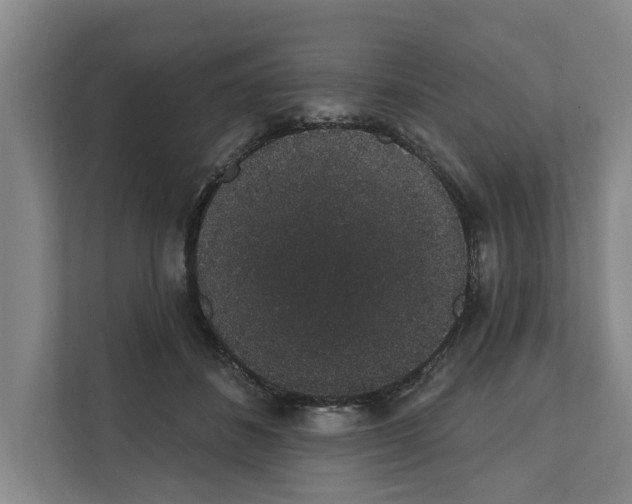 X0000111830508200909031516