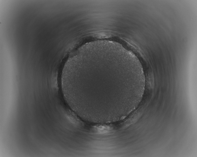 X0000111830512200909031516
