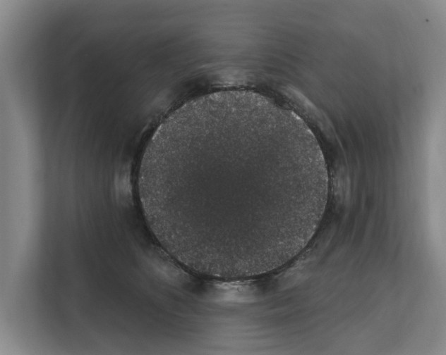 X0000111830516200909031516