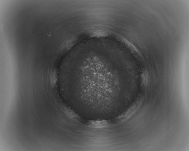 X0000111830517200909031516
