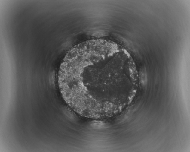 X0000111830519200909031516