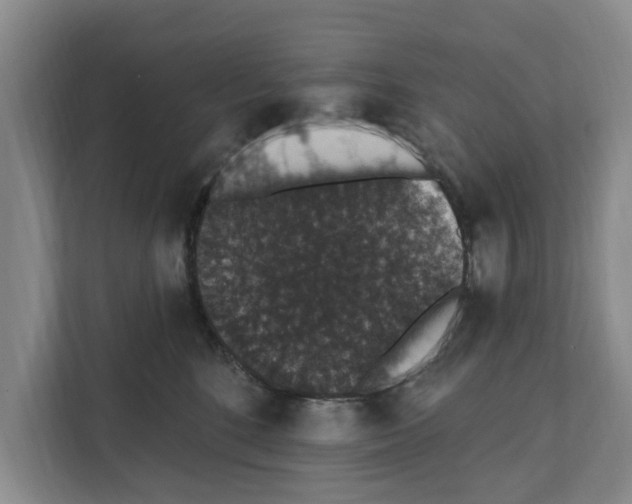 X0000111830520200909031516