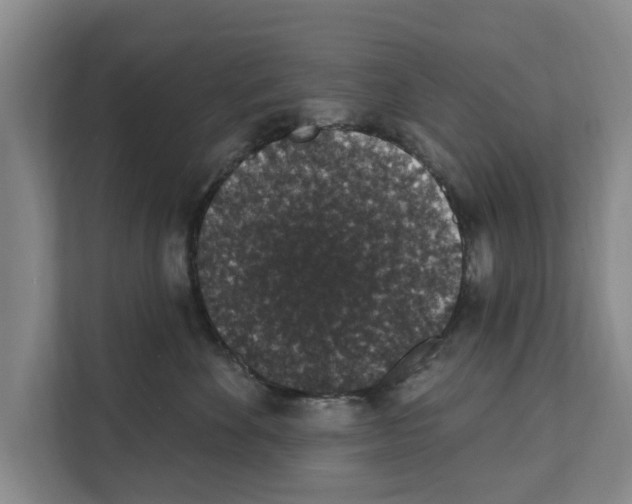 X0000111830524200909031516