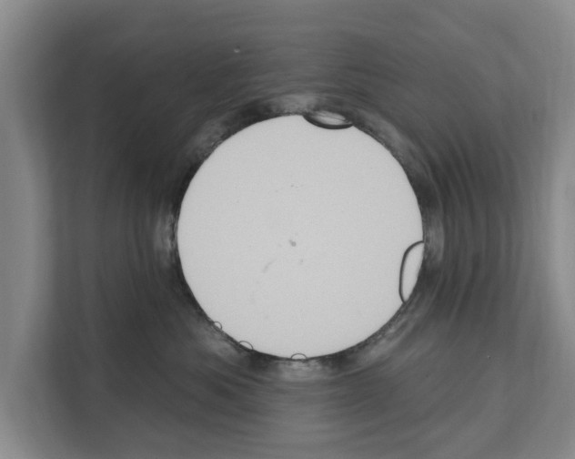 X0000111830525200909031516