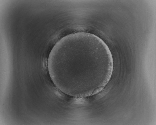 X0000111830528200909031516