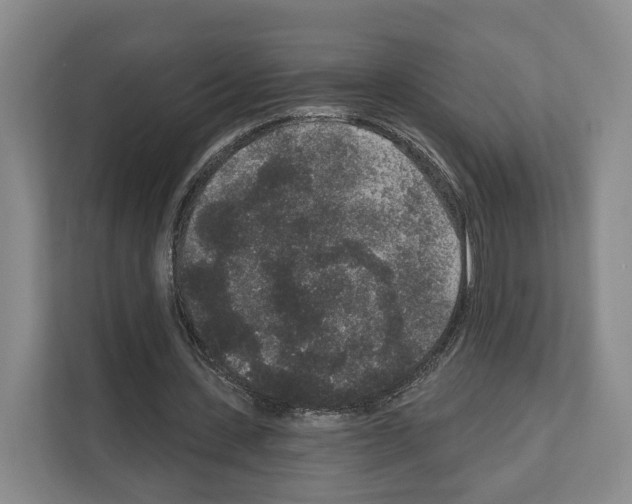 X0000111830531200909031515