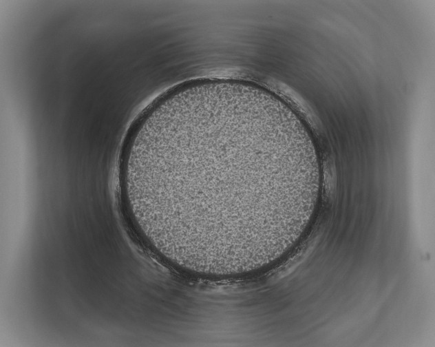 X0000111830532200909031515