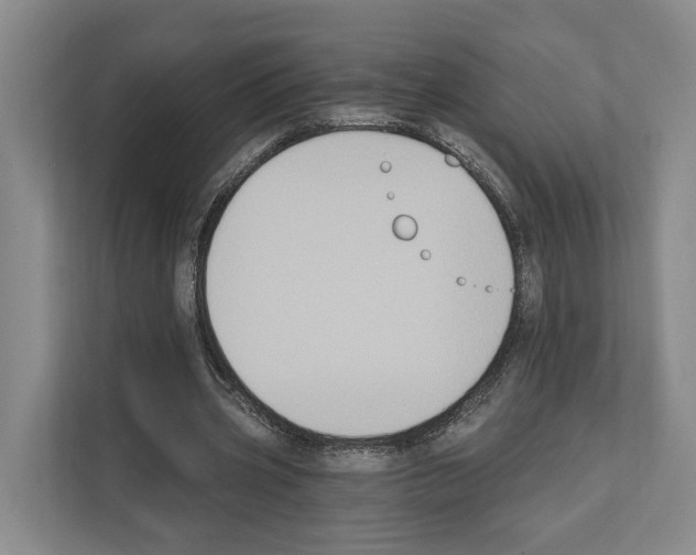 X0000111830533200909031515