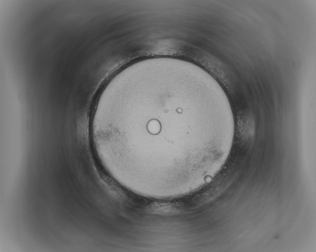 X0000111830534200909031515