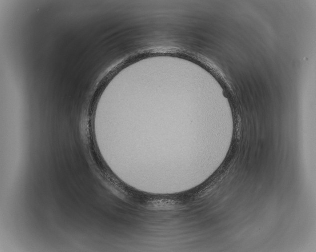 X0000111830535200909031515