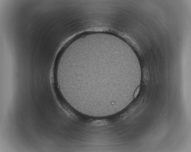 X0000111830536200909031515