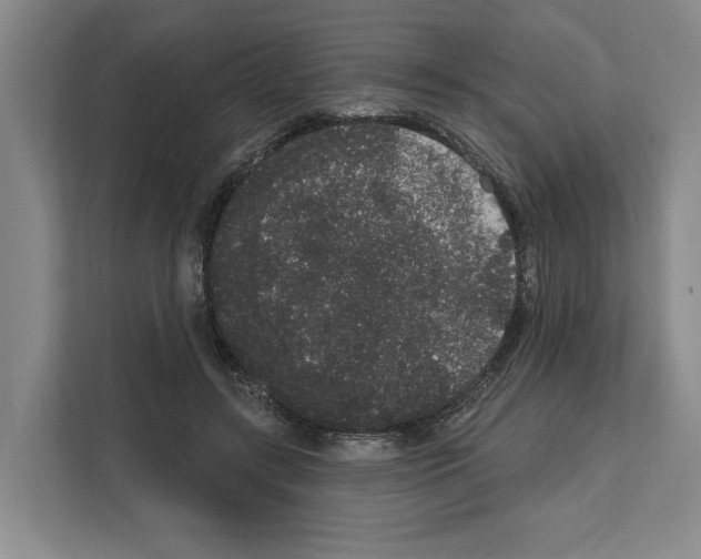 X0000111830547200909031515
