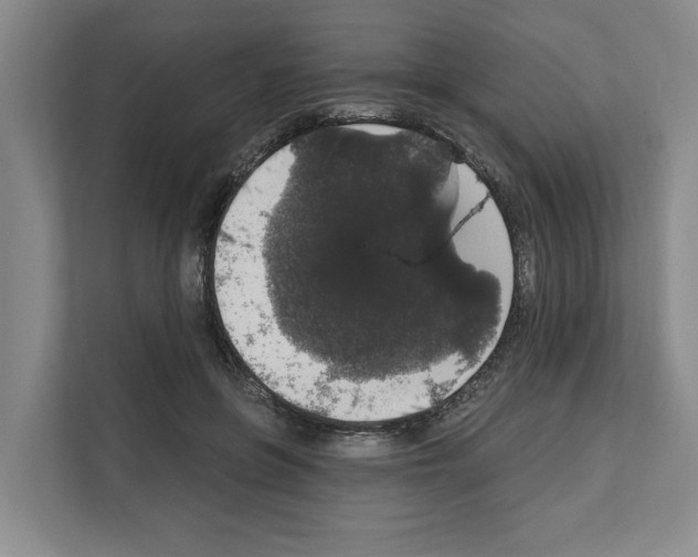 X0000111830551200909031515
